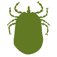 elcanijodejerezoficial dlq el canijo de jerez garrapatero Sticker