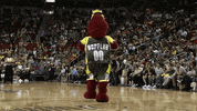 wnba dance dancing mascot wnba GIF