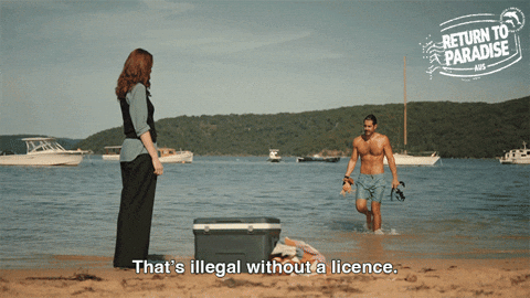 Return To Paradise GIF by Death In Paradise