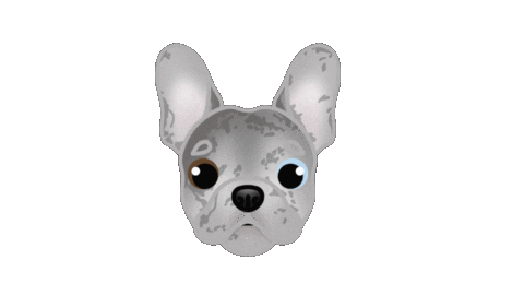 French Bulldog Cute Dog Sticker by zoopeez