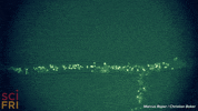 growth microscope GIF by Science Friday