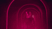 magnolia GIF by Playboi Carti