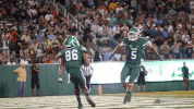 greenwave football athletics tulane greenwave GIF