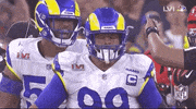 Super Bowl Football GIF by NFL