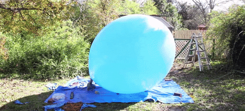 GIF by Mashable