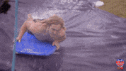 Gymnastics Muscle GIF by Australian Ninja Warrior