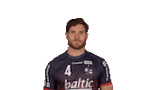 Handball-Bundesliga Handball Sticker by LIQUI MOLY HBL