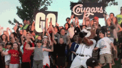 kccougars GIF by Kane County Cougars