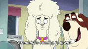 Murder Mystery GIF by FOX TV