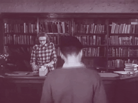 library librarian GIF