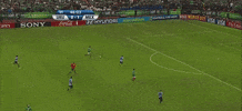 Liga Mx Football GIF by MiSelecciónMX