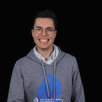 RCDS_S-H ju junge union rcds konservativewelle GIF