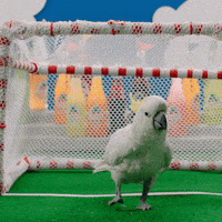 Come At Me Bring It On GIF by Jarritos