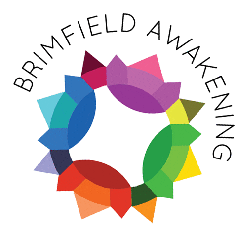 Sew Home Made Sticker by Brimfield Awakening