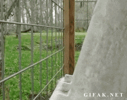 GIF by Random Goat