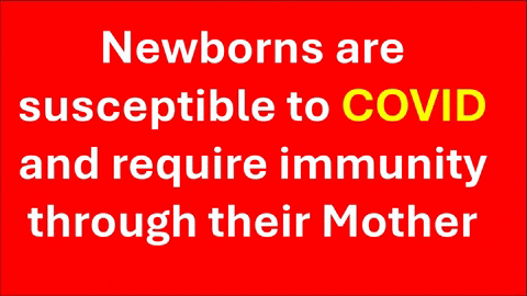 royshilling giphyupload GIF