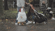 New York Comedy GIF by HBO