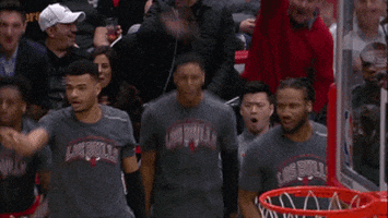 excited chicago bulls GIF by NBA