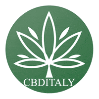 Loop Italy Sticker by BTTEstonia