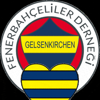 fb-ge fenerbahce gelsenkirchen fenerbahcegelsenkirchen fbge GIF