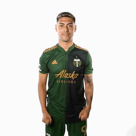 Portland Timbers Soccer GIF by Timbers