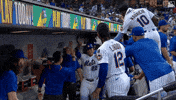 Home Run Lfgm GIF by New York Mets
