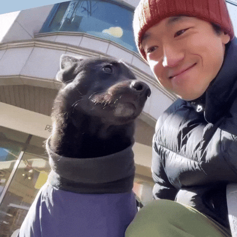 eungji giphycreatortest zzangjinhwan GIF