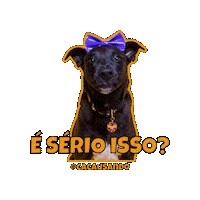 Cacausando cachorro cachorros cacausando cacauecookie Sticker
