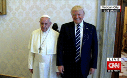 trump day GIF