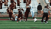 Team Ncaa GIF by Texas State Football