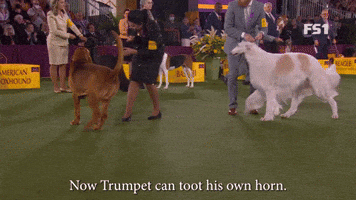 Trumpet Can Toot His Own Horn