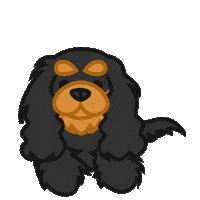 cavalier king charles spaniel love Sticker