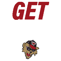 washwildthings sports baseball wild things wildthings Sticker