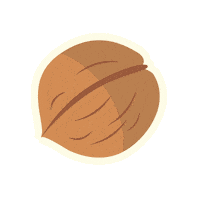 Nut Walnut Sticker by signaturemarket