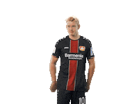 dab bundesliga Sticker by Bayer 04 Leverkusen