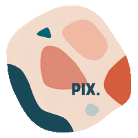 Walkwithpix Sticker by pixfootwear