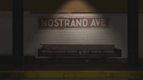 season 1 cats GIF by Animals