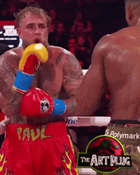 Jake Paul Pro Boxing GIF by Marcel Katz Dalí / The Art Plug