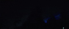 I Wont Give Up Island Records GIF by Lost Girl