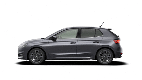 Fabia Graphite Grey GIF by Škoda Global