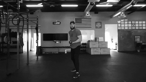 setforset giphygifmaker GIF