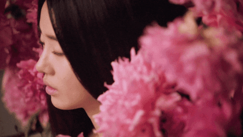 jagn giphyupload GIF