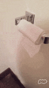 paper roll GIF