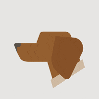 breannagabriela dog dogs pet pets GIF