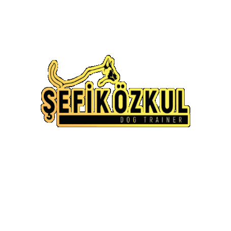 Sticker by Sefik Ozkul