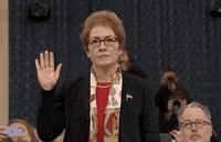 news impeachment impeachment inquiry impeachment hearings day two marie yovanovitch GIF