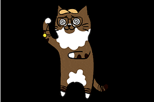 Cat Confuse GIF