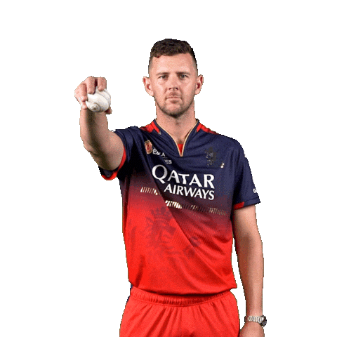 Happy Dance Sticker by Royal Challengers Bengaluru
