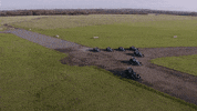 Formula 1 Sport GIF by Mercedes-AMG Petronas Formula One Team