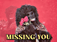 Miss You Gorilla GIF by GIPHY Studios 2022